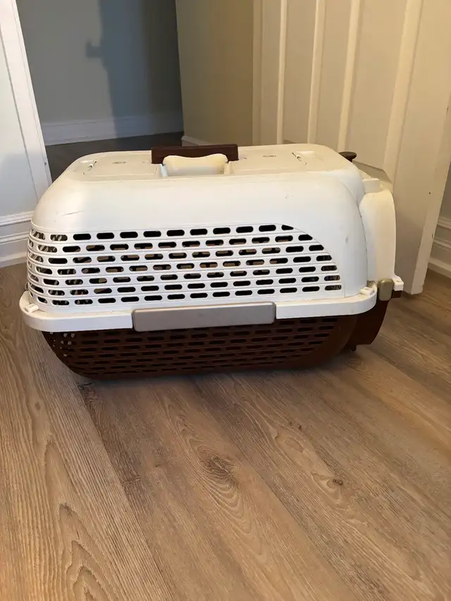 Dog/cat Kennel