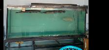 300 gallon fish tank