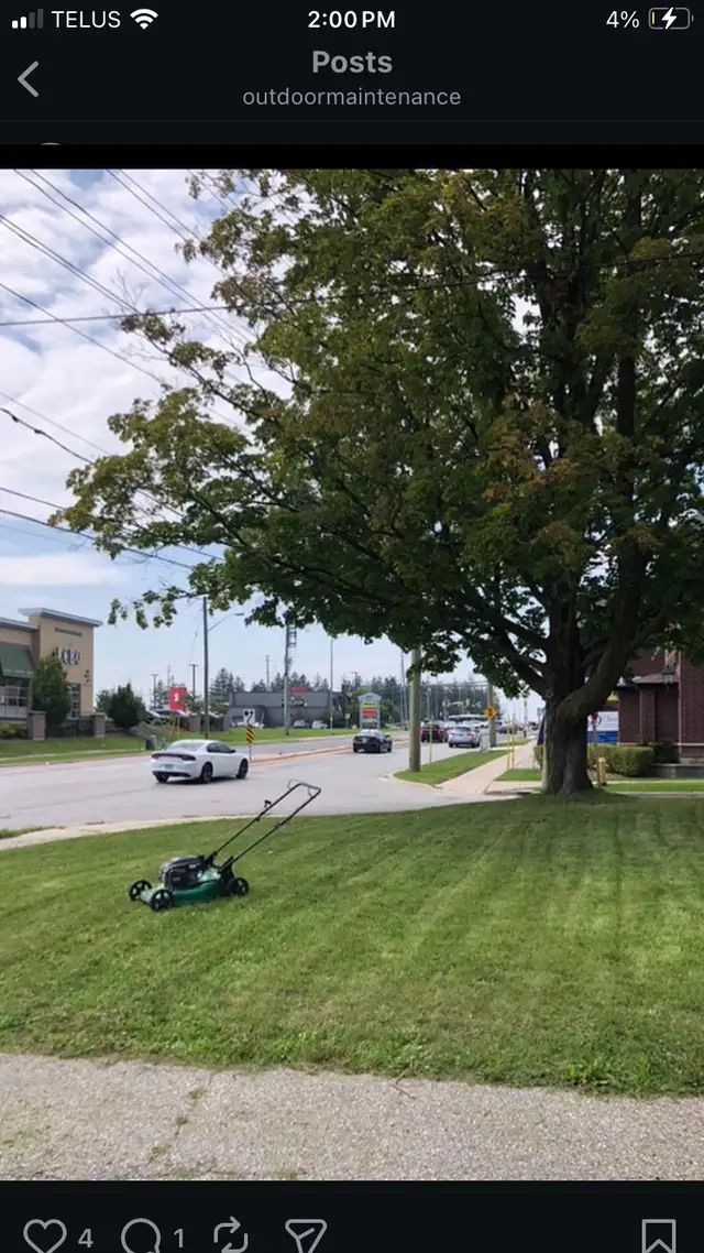 lawn mowing