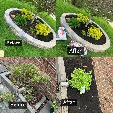 gardening