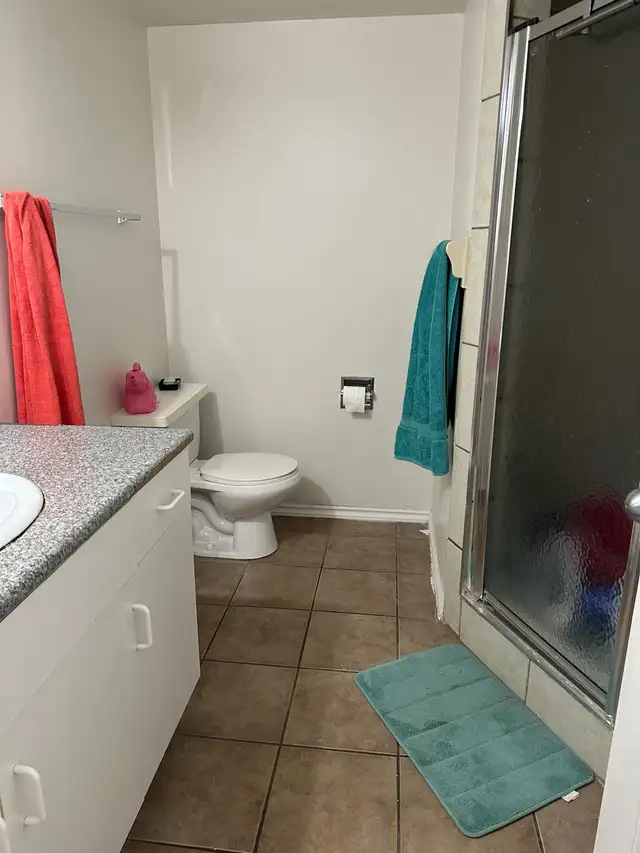 Legal two bedroom basement suite for rent in calgary alberta - Photo 4