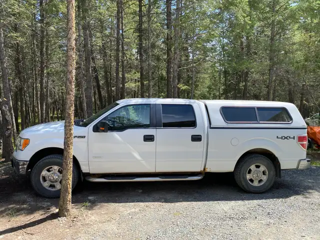 2014 F150 XLT