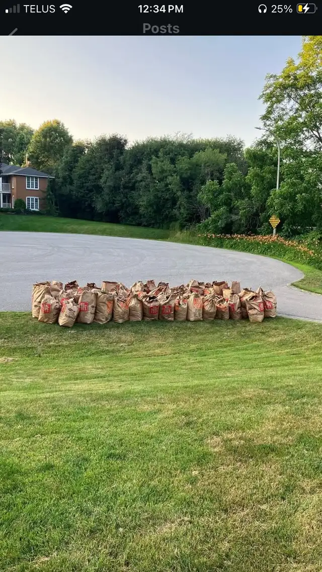 landscaping