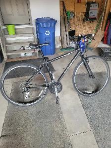 TREK Hybrid Bike