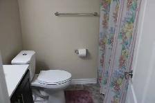 Modern 3-Bedroom Legal Basement Suite in Prime Brampton - Photo 2