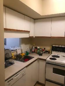 Furnished Bedroom in D/T Toronto - Master Bedroom - Photo 7