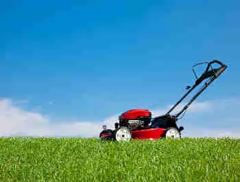 professional grass cutting in oak ridges.