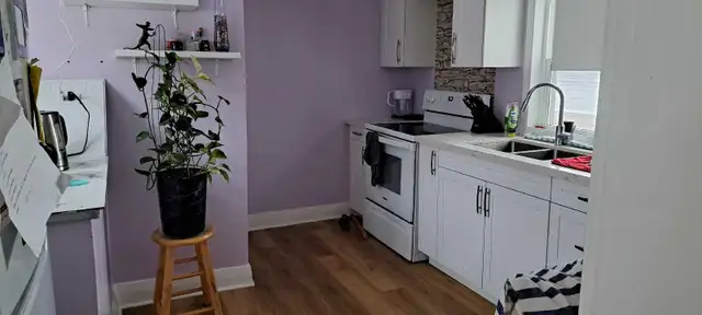 Room for rent - Photo 6