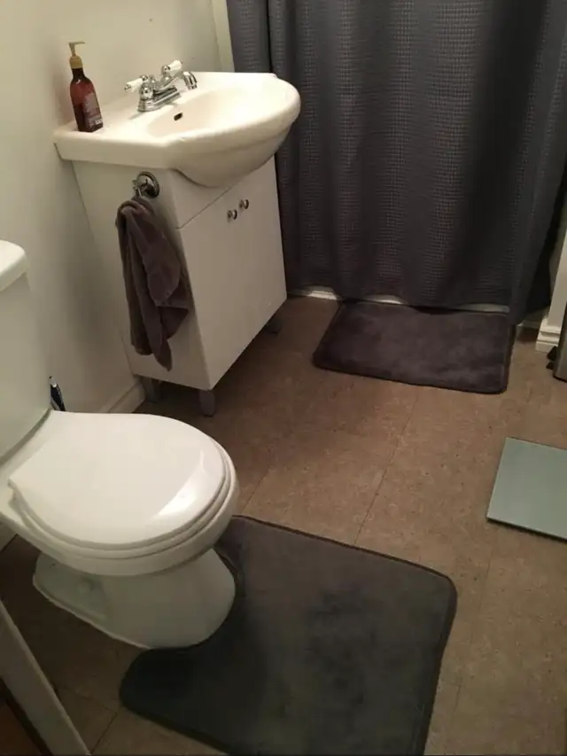 Maison à louer – Bord-du-Lac, Dorval - Photo 6