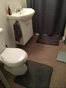 Maison à louer – Bord-du-Lac, Dorval - Photo 6