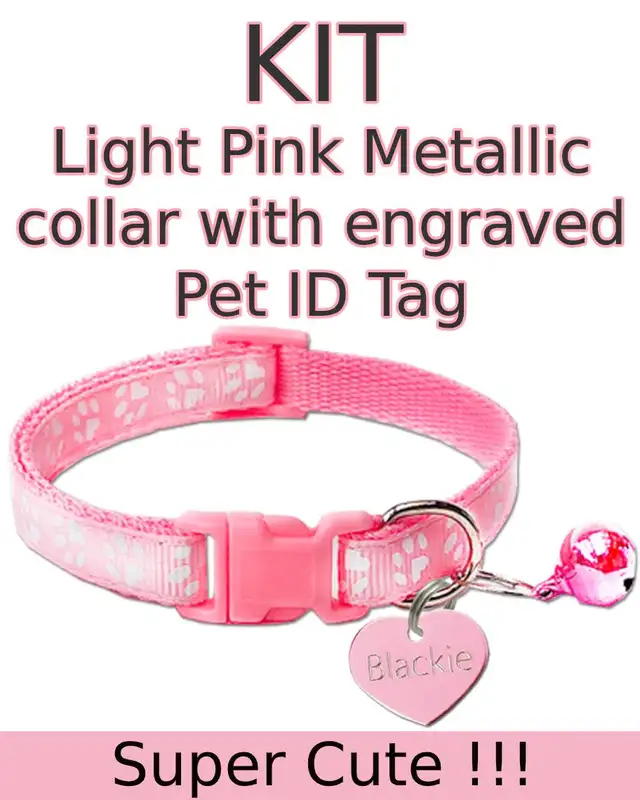 Only $ 5.99 Pet ID Tag - Custom Engraved Cat Dog Puppy & Collars - Photo 3