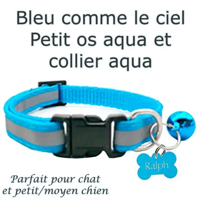 Only $ 5.99 Pet ID Tag - Custom Engraved Cat Dog Puppy & Collars - Photo 4
