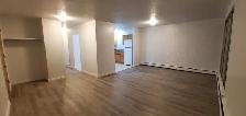 Newly Renovated 2 Bedroom Apartment, All Utilities Included