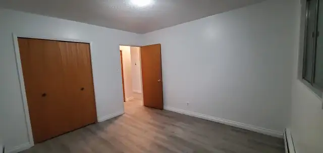 Newly Renovated 2 Bedroom Apartment, All Utilities Included - Photo 3