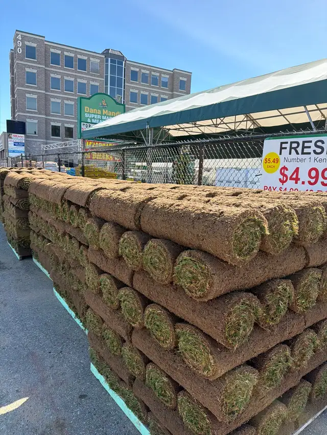 Sod Special Grass Rolls