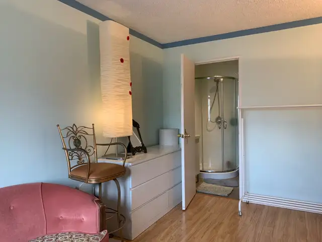 Short-term Large Ensuite Room Renting - Photo 3