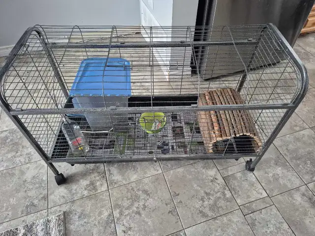 Rabbit tage and accessories