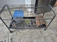 Rabbit tage and accessories