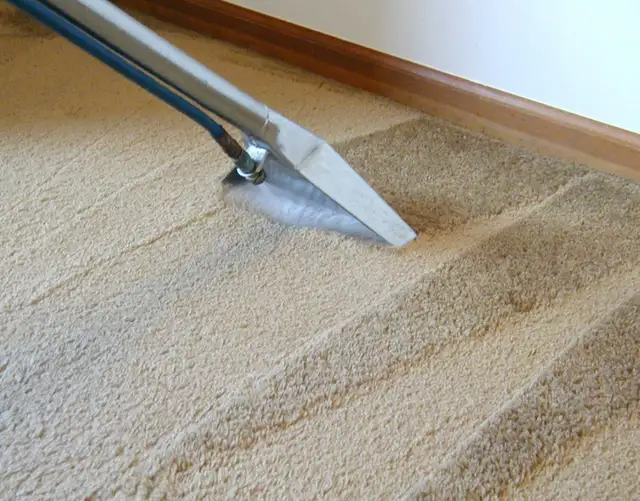 Same Day - Carpet & Upholstery Cleaning