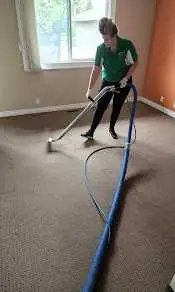 Same Day - Carpet & Upholstery Cleaning - Photo 2