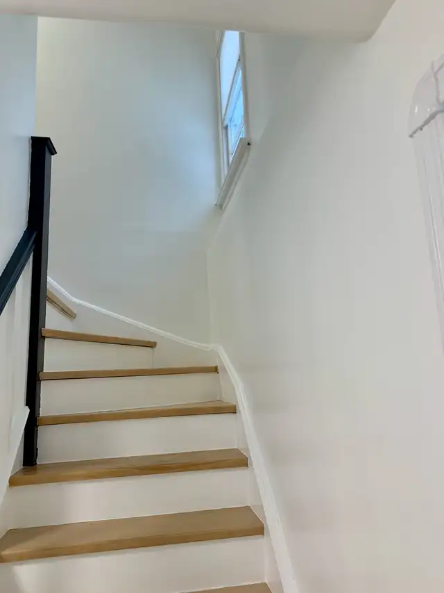 4 Bedroom Detached Home in Prime Etobicoke Location - Photo 9