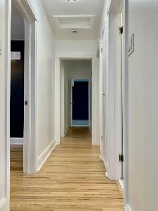 4 Bedroom Detached Home in Prime Etobicoke Location - Photo 10