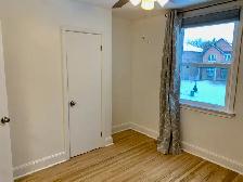 4 Bedroom Detached Home in Prime Etobicoke Location - Photo 14