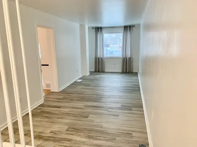 4 Bedroom Detached Home in Prime Etobicoke Location - Photo 24