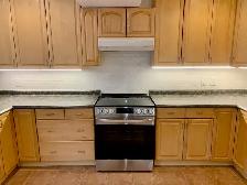 4 Bedroom Detached Home in Prime Etobicoke Location - Photo 25
