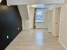 4 Bedroom Detached Home in Prime Etobicoke Location - Photo 29