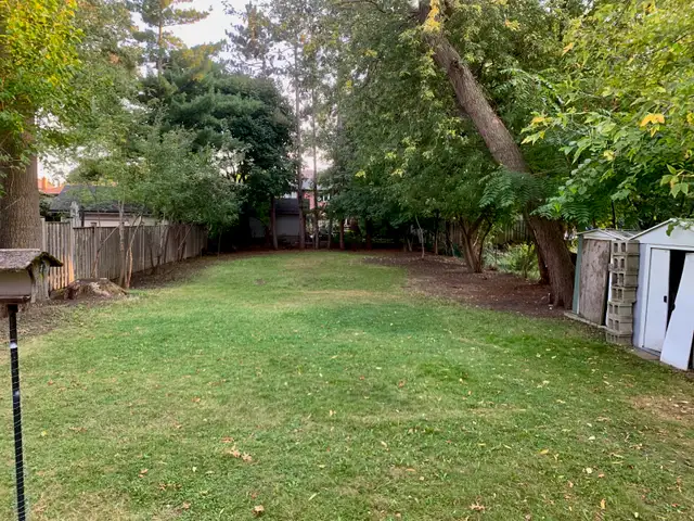 4 Bedroom Detached Home in Prime Etobicoke Location - Photo 30