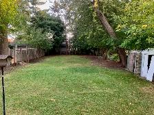 4 Bedroom Detached Home in Prime Etobicoke Location - Photo 30