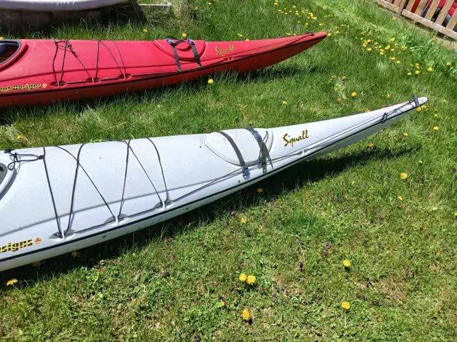 Kayaks for Sale - Photo 5