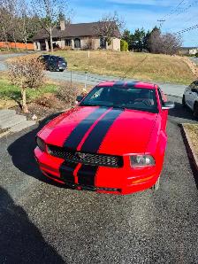 Ford Mustang 2005