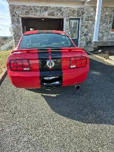 Ford Mustang 2005 - Photo 2