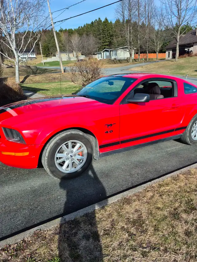 Ford Mustang 2005 - Photo 3