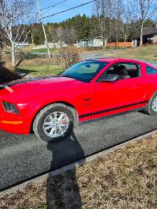 Ford Mustang 2005 - Photo 3