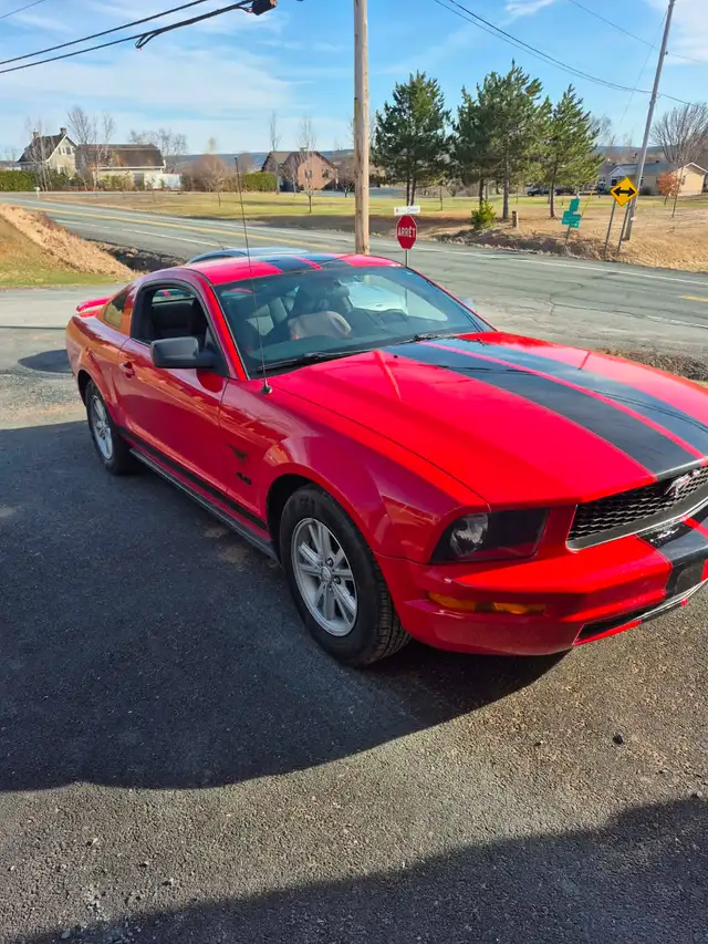 Ford Mustang 2005 - Photo 4