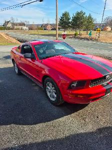Ford Mustang 2005 - Photo 4
