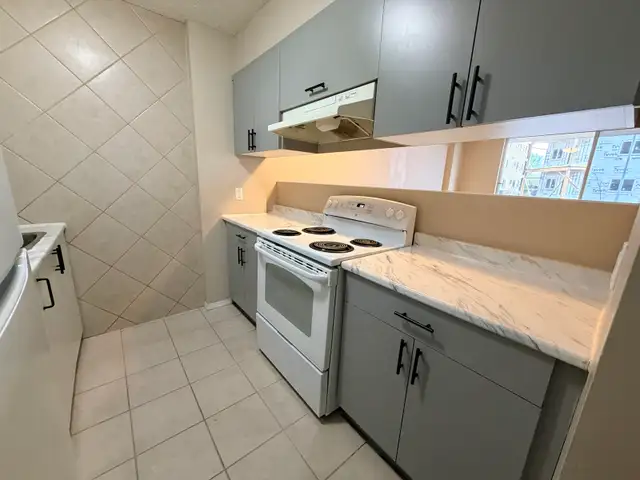 1 bedroom apartment with elevator - Photo 4