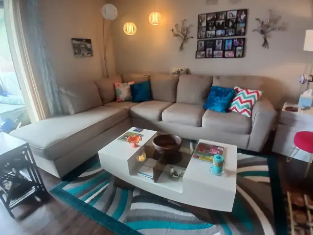 SECTIONAL SOFA AND PLANT SHELF