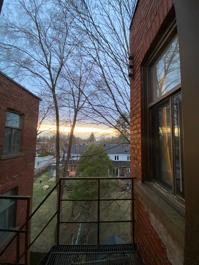 Room for rent in 3 bedroom, 1 bathroom apartment - Photo 3