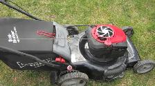Serviced Lawnmower, trade inns available