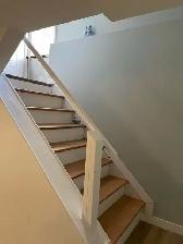 Newly Reno'vated Basement Suite near Southgate for Rent