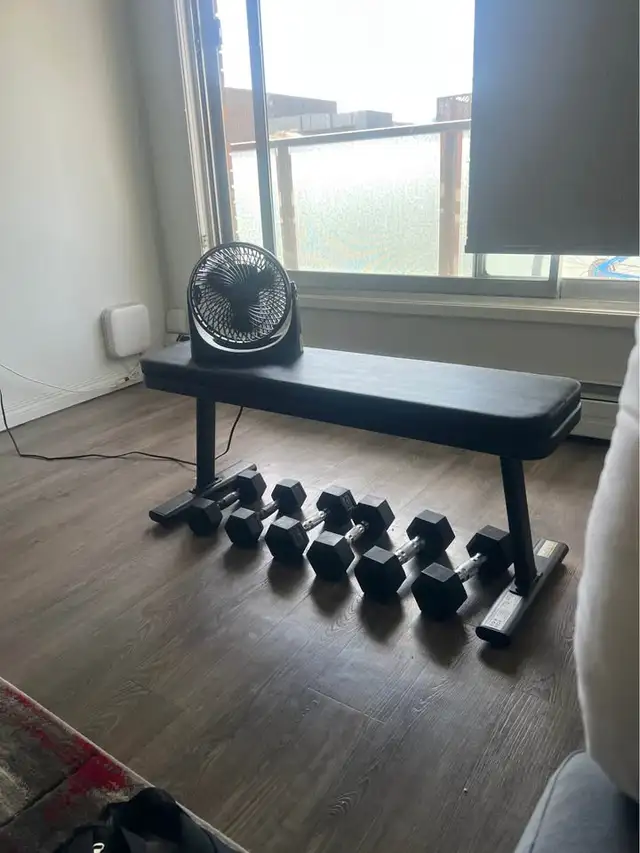 Weight Bench & Dumbbell Set for Sale
