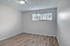 2 bedroom basement - Photo 6