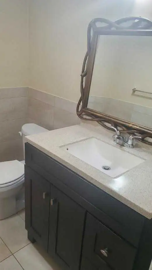 Gorgeous 1 bedroom basement apt - Photo 4