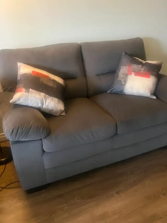 Grey Keighly Loveseat with Cushions for Sale. - Photo 2