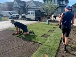 Get your landscaping project done for $30 hour ! - Photo 4