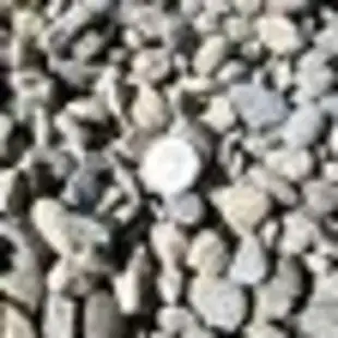 Get your landscaping project done for $30 hour ! - Photo 7